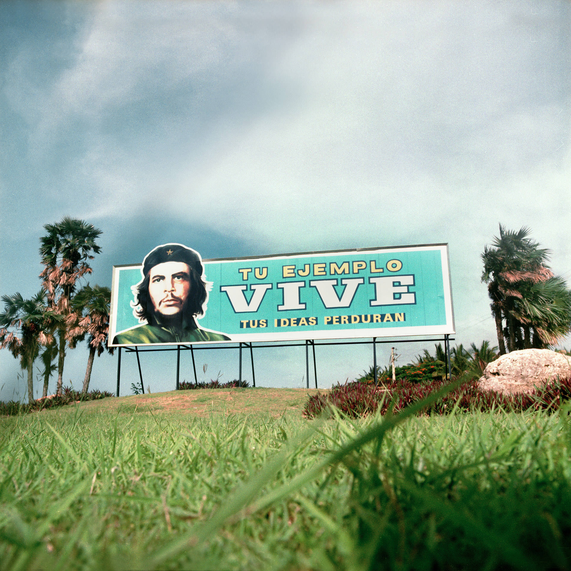 7.Che